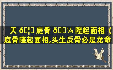 天 🦆 庭骨 🐼 隆起面相（天庭骨隆起面相,头生反骨必是龙命）